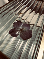 Midnight Bloom