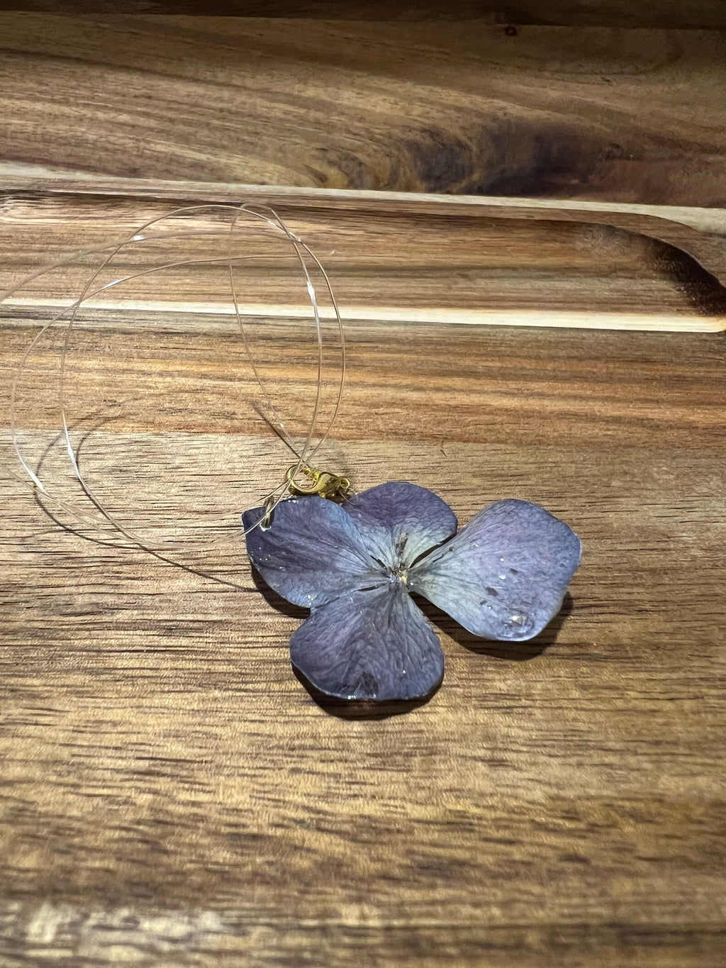 Midnight Bloom