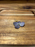 Midnight Bloom